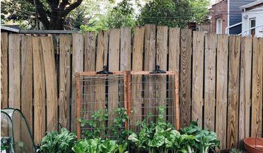A-Z of Raised Bed Gardening